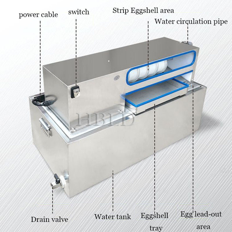 Elektrische Eierkochmaschine m – Food Processor Snacks Bewertung und Preis